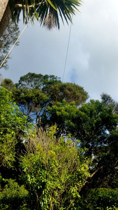 radio aerial wire visible against the sky