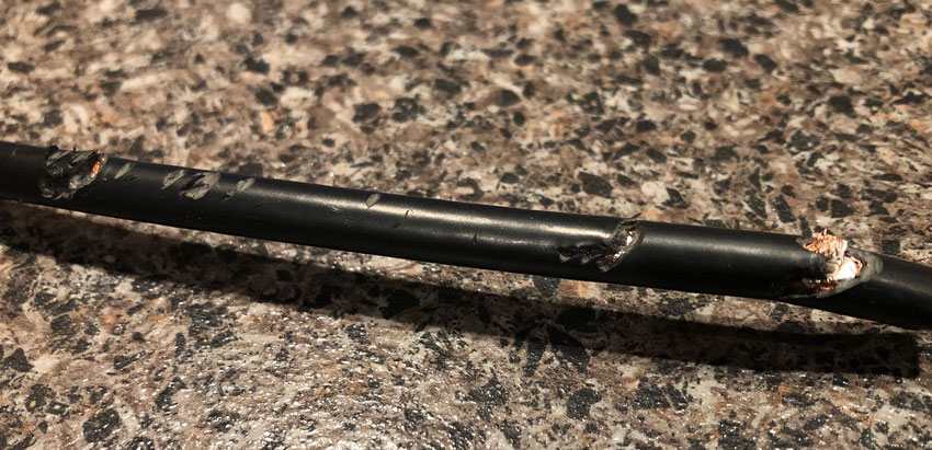 a piece of chewed coaxial cable