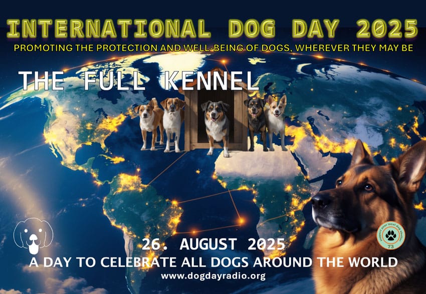 Certificate for the IDD top award: the Full Kennel